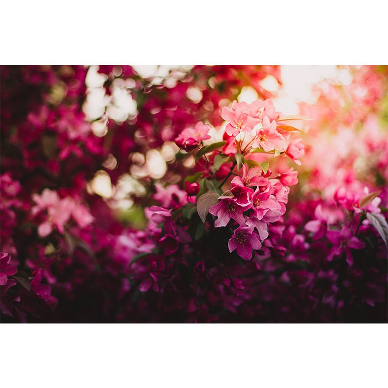 Blooming Flower Wall Mural Moisture Resistant Wall Decor for Dining Room Kitchen