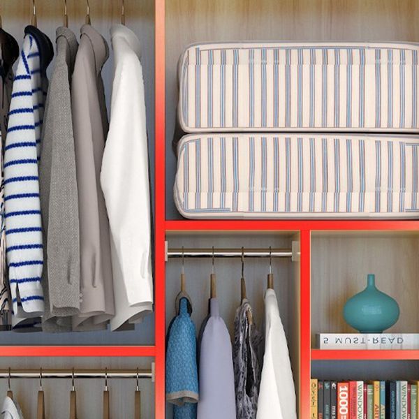 Contemporary Style Wardrobe Wood 2 Doors Wardrobe Closet for Bedroom