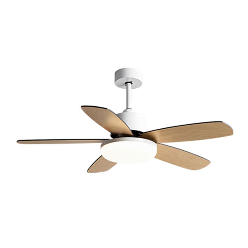 Unique Shape Metal Ceiling Fan Light Kids Style 1-Light Ceiling Fan Lamp for Living Room