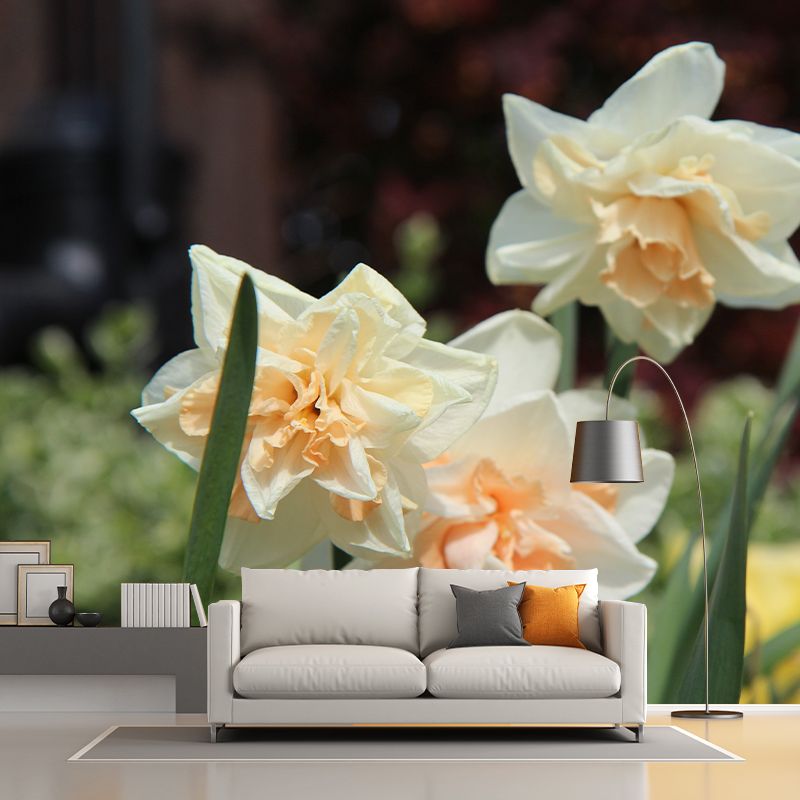 Daffodil Blossoming Flower Wall Paper Murals Waterproof Wall Decor for Bedroom