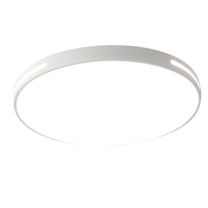 Lámpara de techo nórdica moderna y sencilla personalidad estudio de Sala de estar LED ultradelgado lámpara de ahorro de energía de caballo de hierro