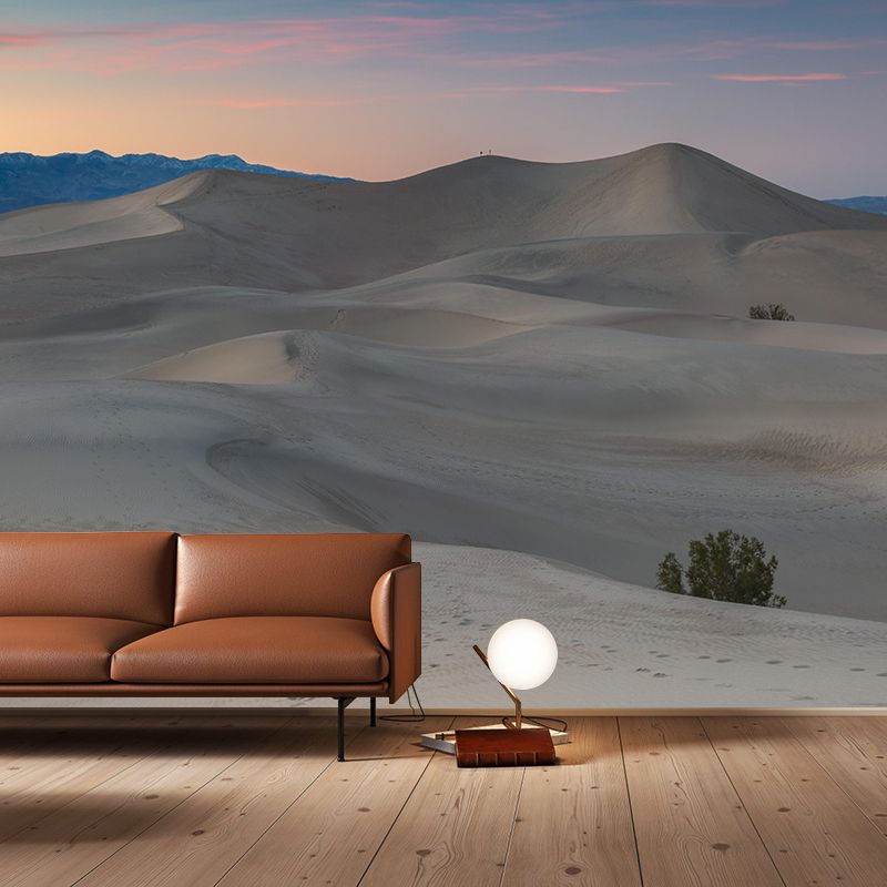 Desert Mural Wallpaper Horizontal Photography Style for Bedroom Decoration