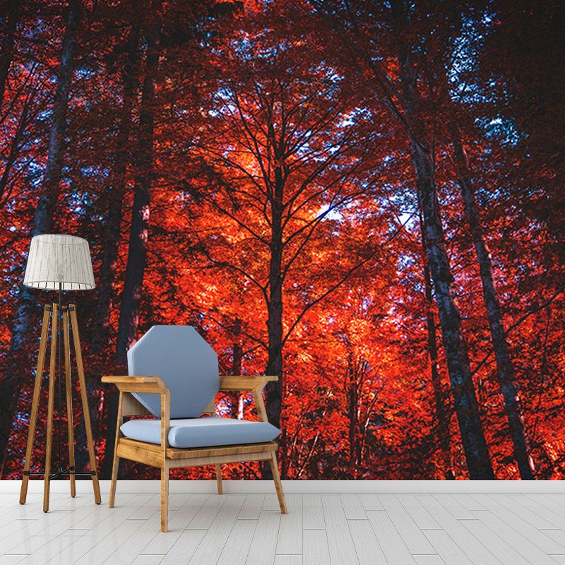Quiet Forest Photography Mural Wallpaper Decorative Bedroom Wall Mural