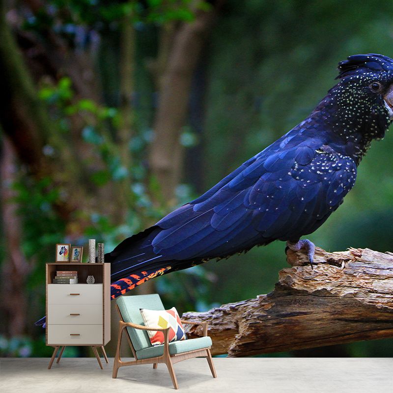 Parrot Animal Wall Mural for Living Room Bedroom Wall Art, Stain-Resistant