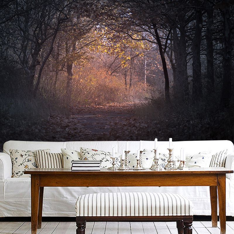 Environmental Forest Photography Wall Mural Living Room Wallpaper