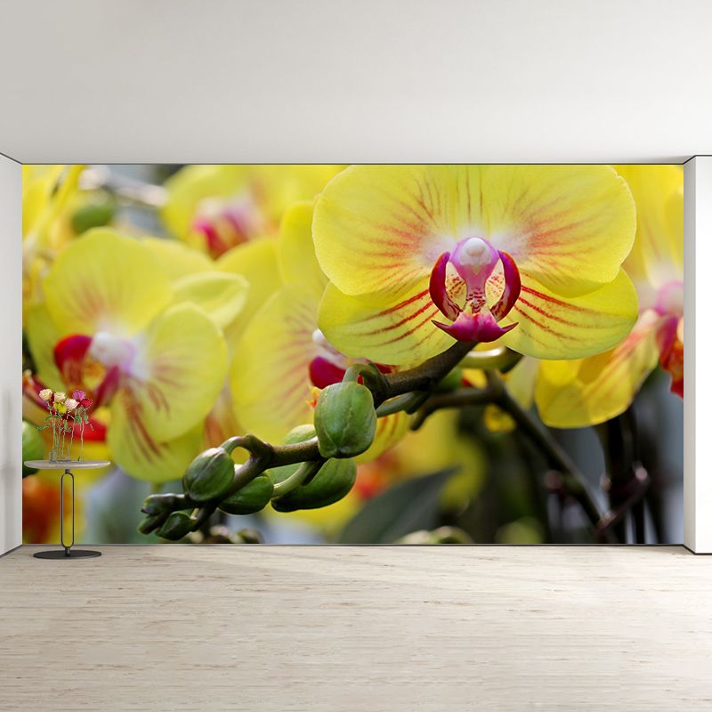 Modern Girl Room Decoration Orchid Mural Wallpaper, Custom Size Available