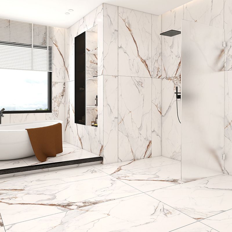 Indoor Wall & Floor Tile Porcelain Floor and Wall Tile with Rectangular Shape