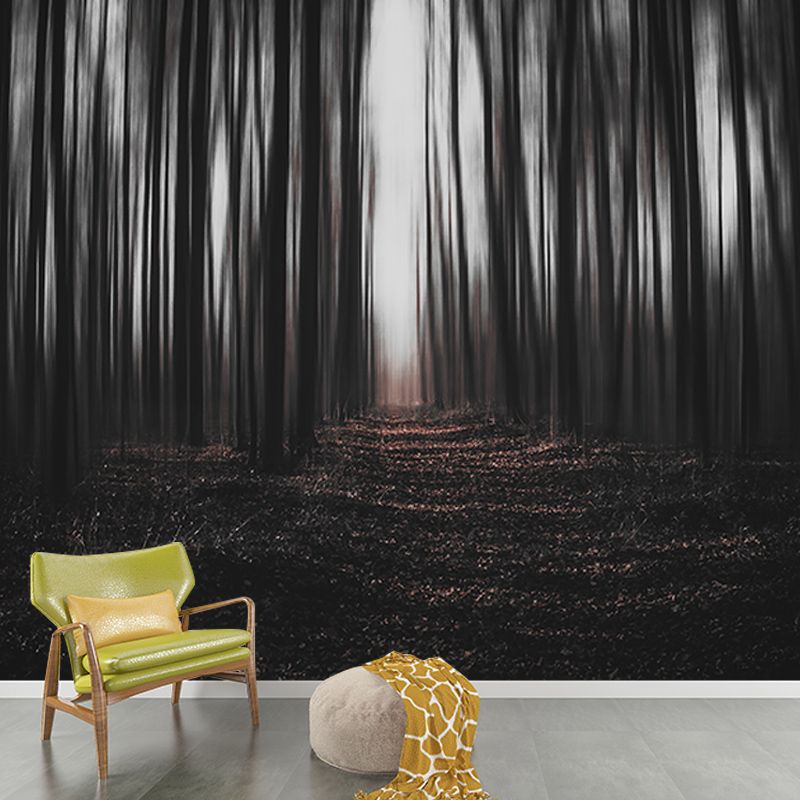 Modern Style Mural Wallpaper Forest Photography Indoor Wall Mural
