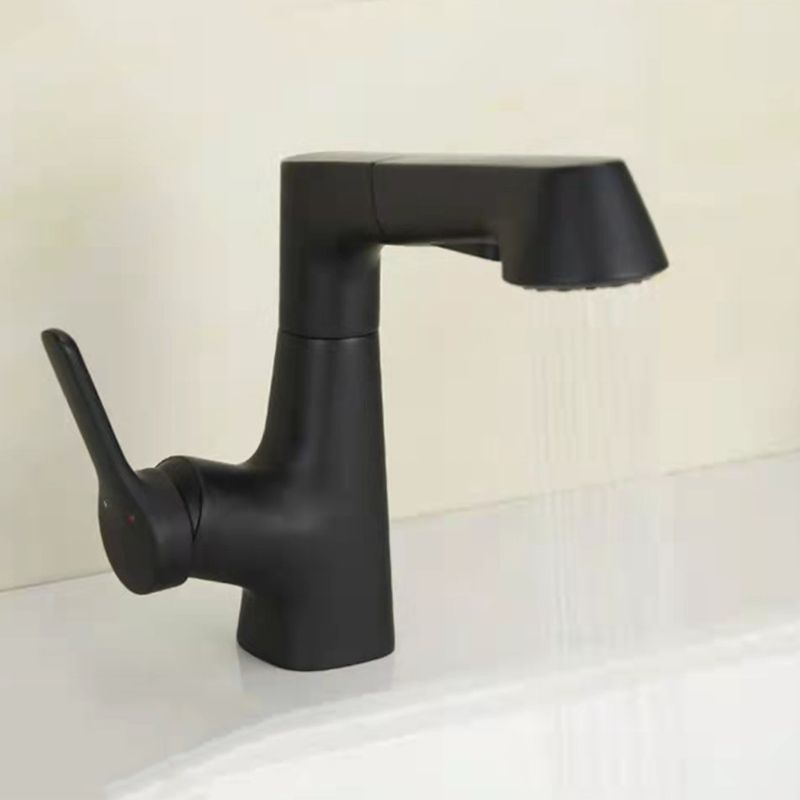 Centerset Sink Faucet Contemporary Pull-out Faucet with Single Handle