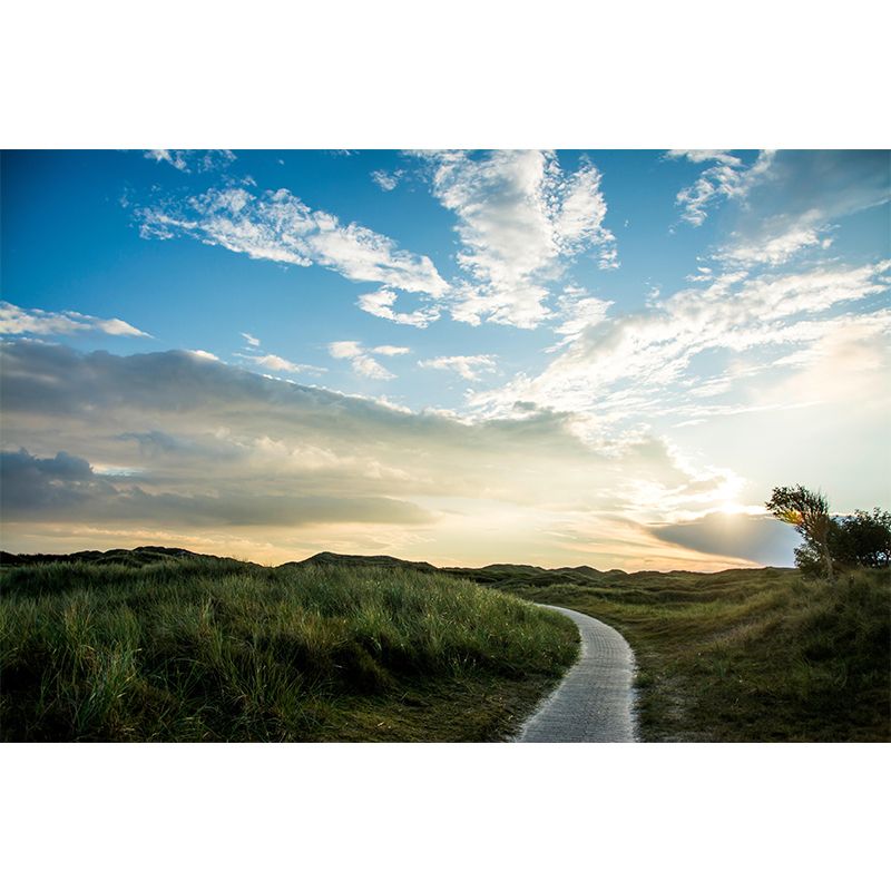 Cloudscape Mural Decal for Wall Contemporary Sitting Room Mural Wall Art