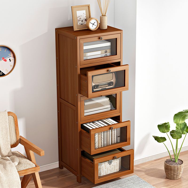 Modern Brown Accent Cabinet with Acrylic Doors Rectangle Cabinet