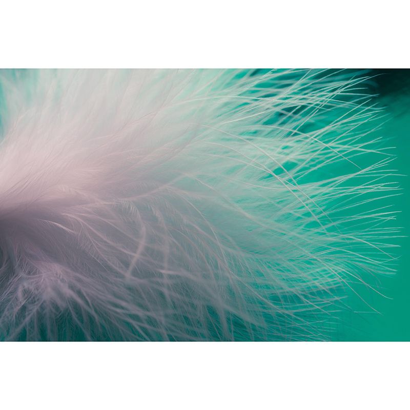 Beautiful Photography Mural Wallpaper Feather Indoor Wall Mural