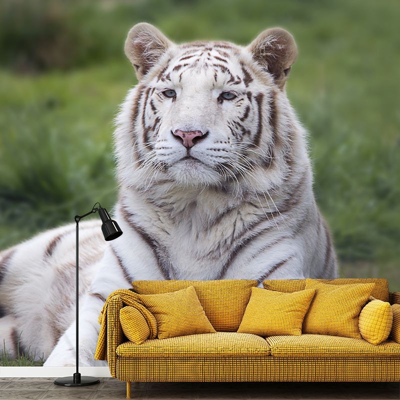 Contemporary Tiger Animal Wall Paper Murals for Home Moisture Resistant, Personalised Size