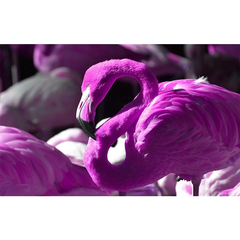 Flamingo Murals Moisture Resistant Contemporary Hallway Wall Decoration