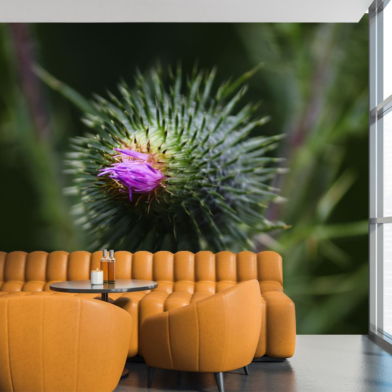 Cirsium Plant Wall Mural for Reading Room Decoration, Moisture Resistant