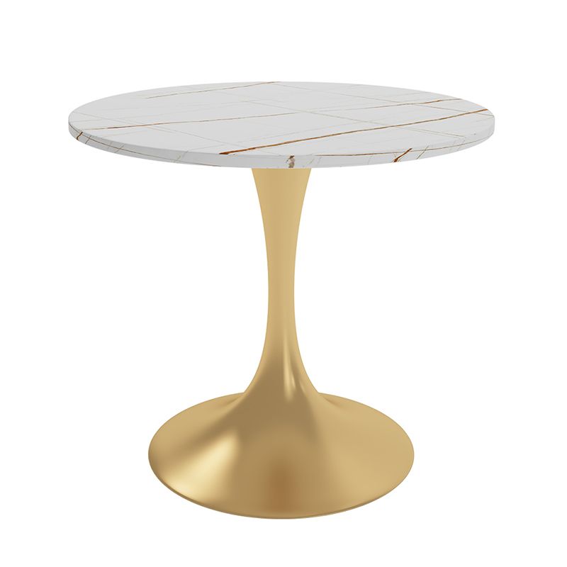 Round Luxury Style Dining Table White Tone Fixed Table with Sintered Stone