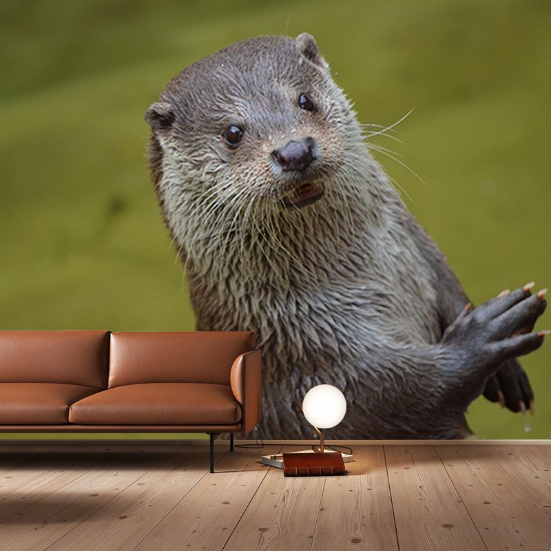 Lovely Otter Mural Wallpaper Photography Horizontal Wall Decor for Home