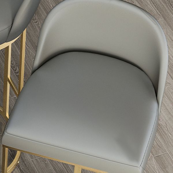 Glam Armless Backrest Counter Stool Iron Bar Stool with Pedal for Kitchen