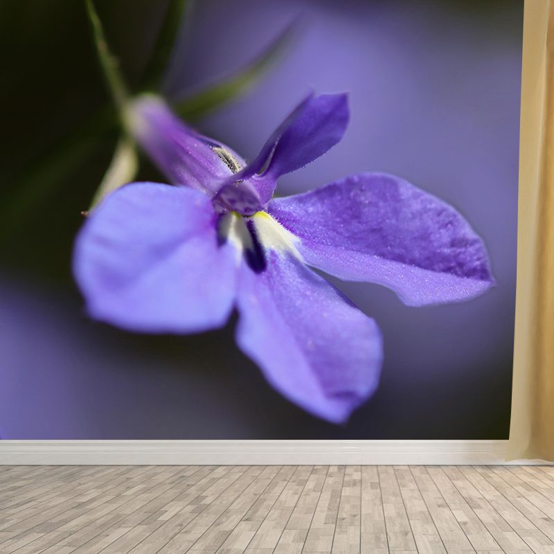 Customized Lobelia Mural Wallpaper Waterproofing Wall Decor for Meeting Room