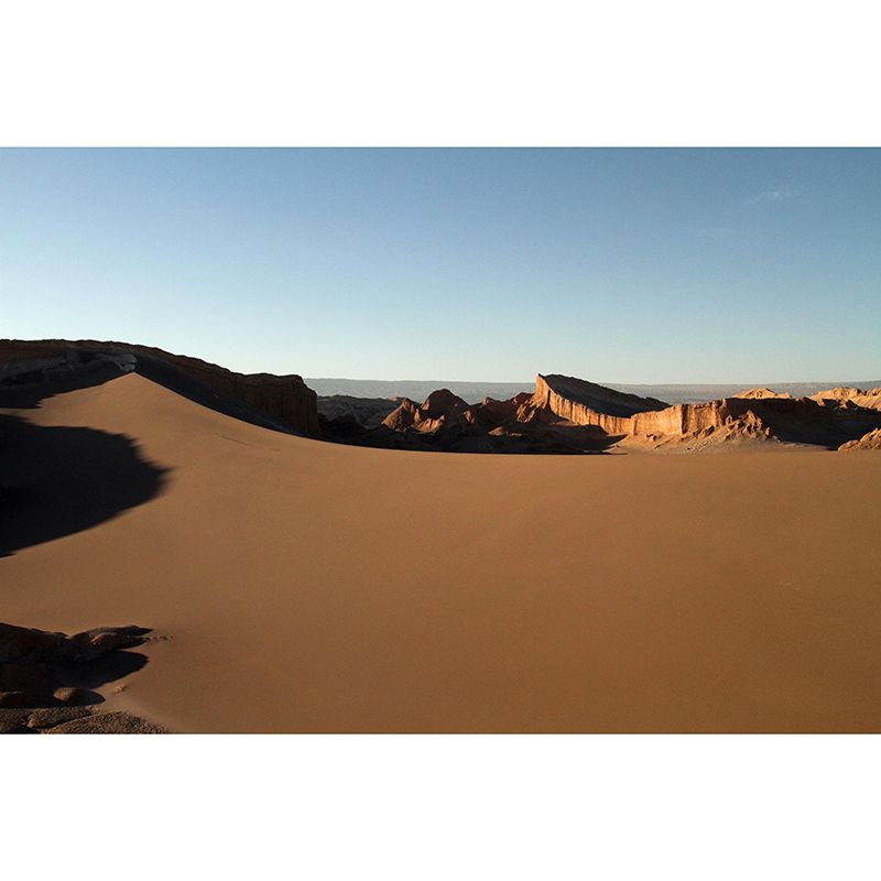 Desert Natural Contemporary Style Desert Wall Mural Mildew Resistant for Room