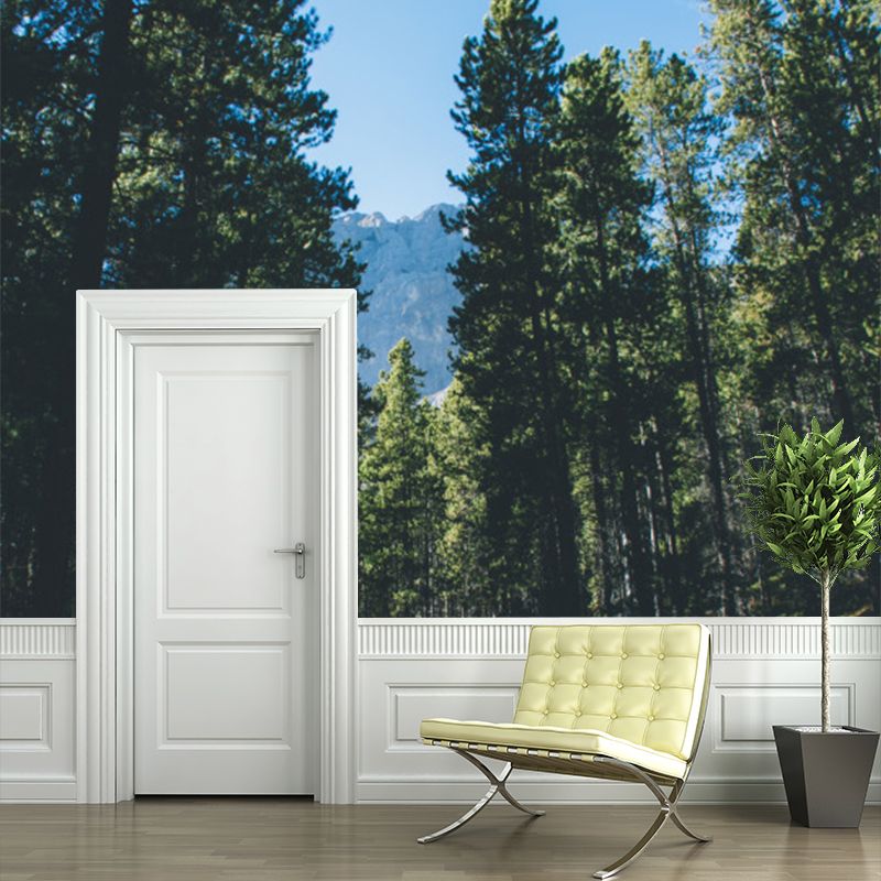 Green Roadside Pine Trees Mural Wallpaper Stain Resistant Wall Covering for Bedroom