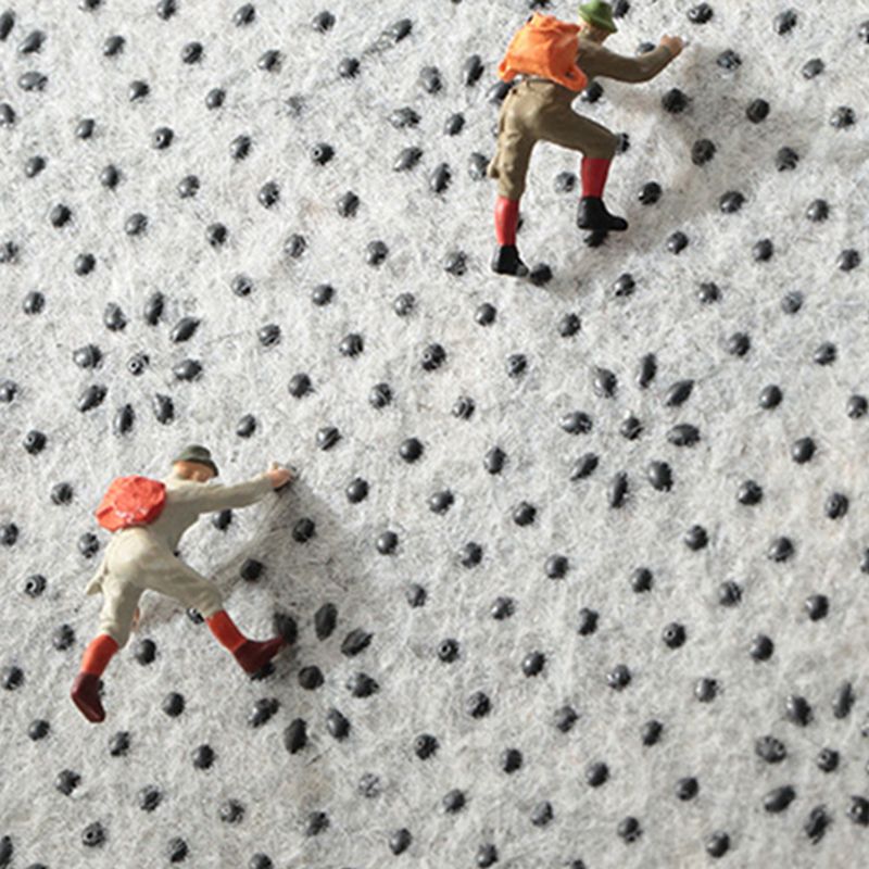 White Tone Modern Area Carpet Polyester Floral Print Indoor Rug Anti-Slip Backing Carpet for Living Room