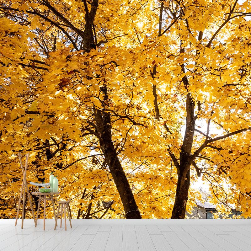 Contemporary Photography Style Forest Mural Wallpaper Mildew Resistant for Decoration