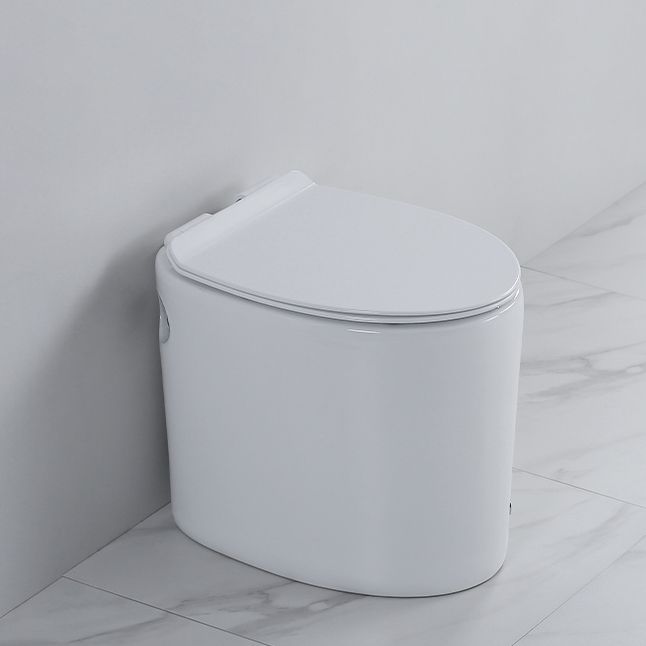 Floor Mounted Toilet One-Piece Toilet ABS Contemporary Flush Toilet