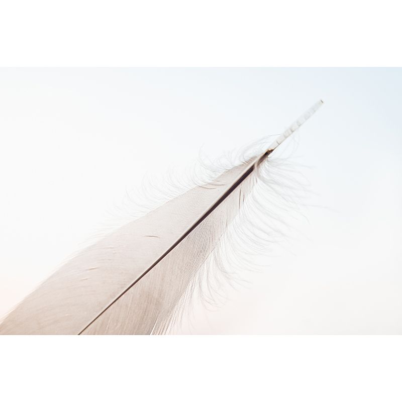 Feather Photography Mural Wallpaper Decorative Bedroom Wall Mural