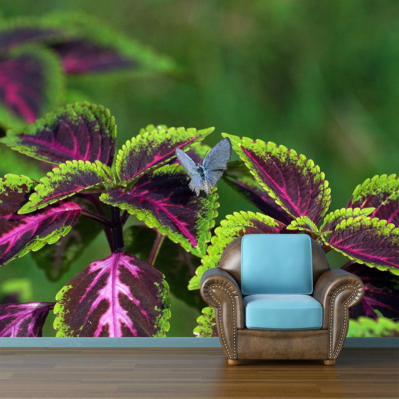 Coleus Leaves Mural Wallpaper Stain Resistant Wall Covering for Living Room