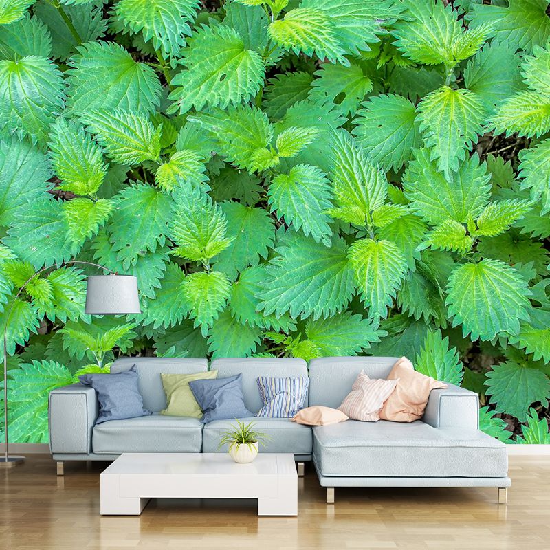 Customized Medicinal Plants Mural Wallpaper Nettle Painting Mildew Resistant