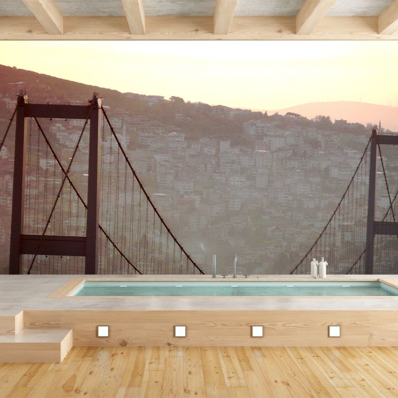 Washable Stain Resistant Mural Wallpaper Traffic Indoor Wall Mural