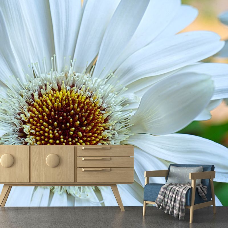 Dahlia Flower Simple Mural for Bedroom Stain Resistant, Made to Measure