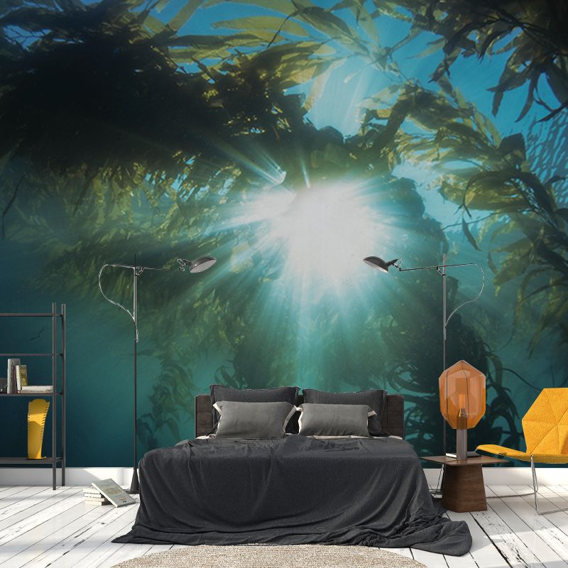 Mildew Resistant Wall Murals Seabed Photography Wall Murals for Bathroom