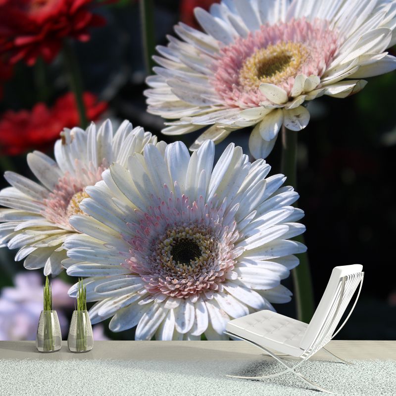 Beautiful Chrysanthemum Flowers Wall Decor for Bedroom Living Room,Custom Size Available