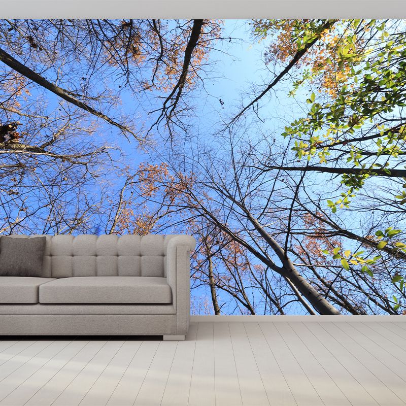Modern Style Forest Wall Mural Wallpaper Photography Mildew Resistant for Home Decor