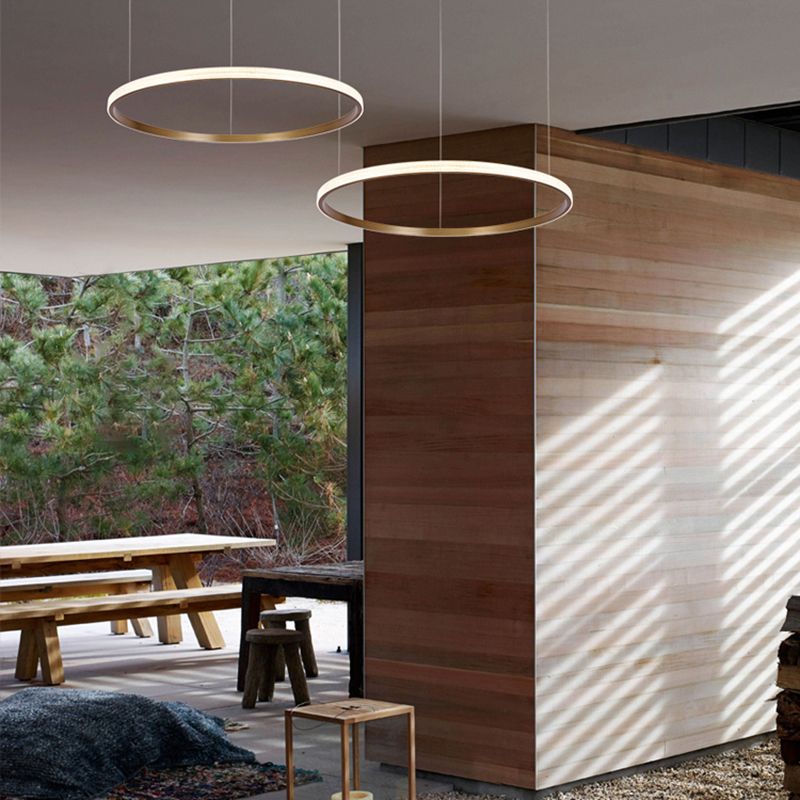 Circle Shade Metal Chandelier Lights Modern Chandelier Lighting Fixtures in Gold