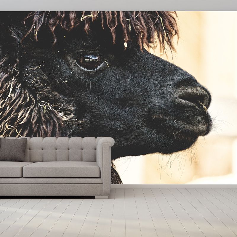 Customized Cute Alpaca Wall Mural Contemporary Photography for Living Room