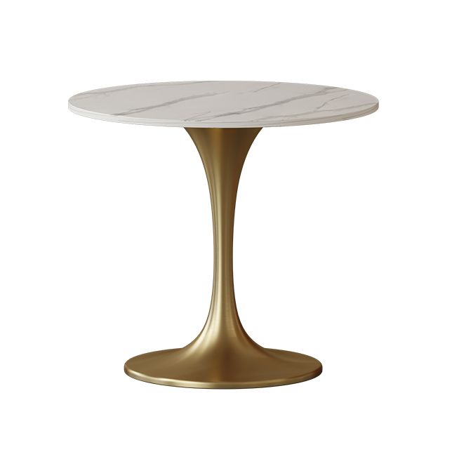 Scandinavian Kitchen Dining Room Set with  Sintered Stone Top and Metal Base Dining Set