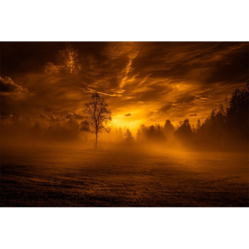 Horizontal Photography Sky Mural Soft Color Stain Resistant Wall Art for Bedroom