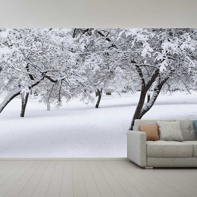 Contemporary Photography Style Forest Mural Wallpaper Mildew Resistant for Bedroom