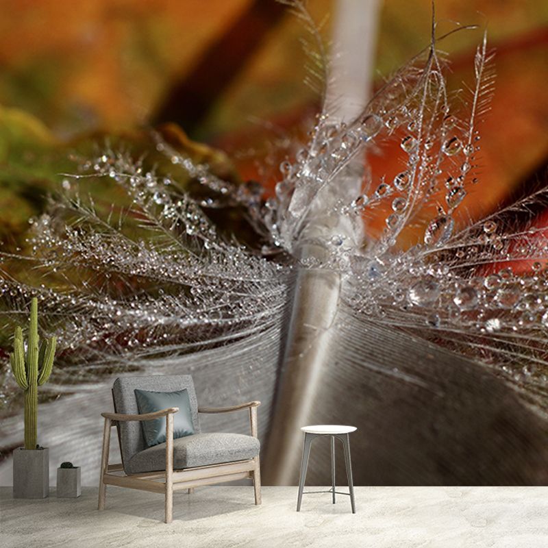 Customized Horizontal Photography Feather Mural Eco-friendly for Home Decor