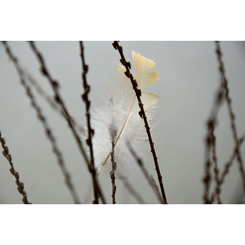 Feather Mural Wallpaper for Living Room Decor, Water Resistant, Made to Measure