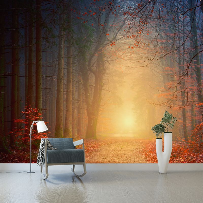 Forest Photography Stain Resistant Wallpaper Living Room Wallpaper