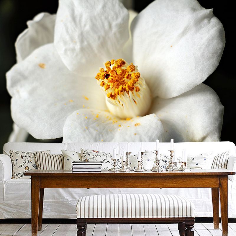 Camellia Mural Decal Contemporary Wallpaper Eco-friendly Wall Decor for Bedroom