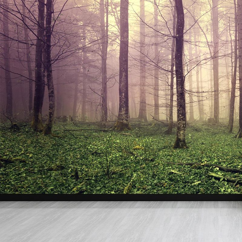 Big Foggy Forest Mural Decal Modern Mysterious Scenery Wall Covering in Pastel Color