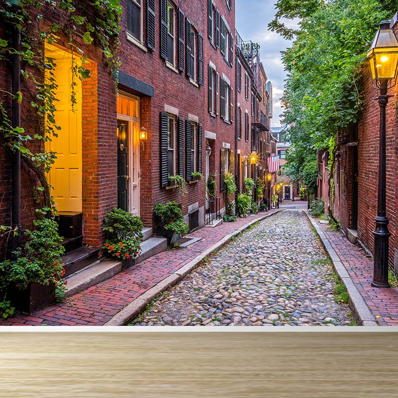 Brick Red Houses Mural Decal Architecture Contemporary Moisture Resistant Wall Decor