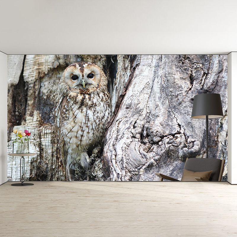 Contemporary Style Owl Mural Soft Color Photography Horizontal Wall Art for Home Decor