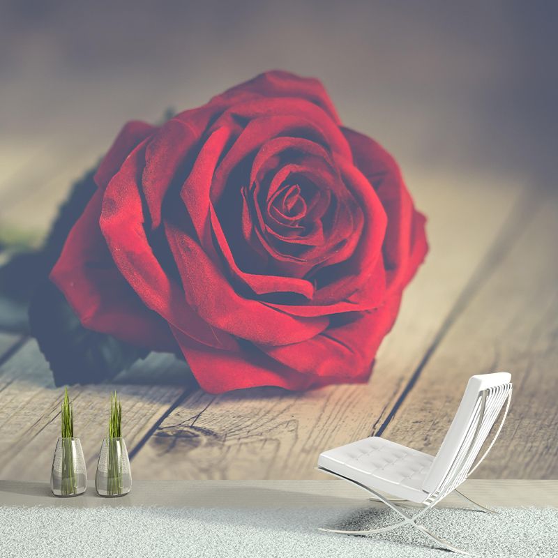 Contemporary Rose Wall Mural Mildew Resistant Soft Color Wall Art for Living Room