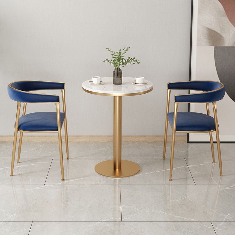 Dining Room Glam Chair Gold Legs Velvet Arm Chair with Upholstered